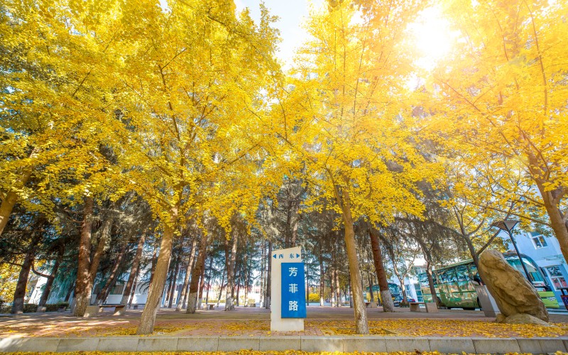 西安明德理工学院校园实景