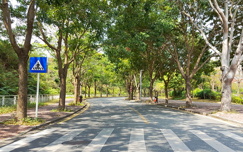 哈尔滨工业大学(深圳)校园实景
