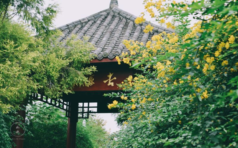 成都中医药大学校园环境