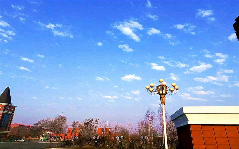 哈尔滨幼儿师范高等专科学校校园实景