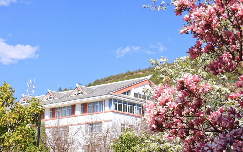 丽江文化旅游学院校园实景