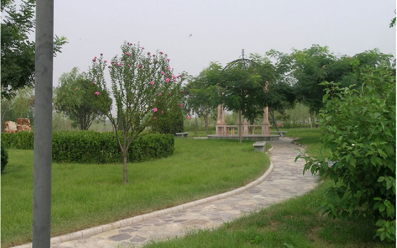 秦皇岛职业技术学院校园实景