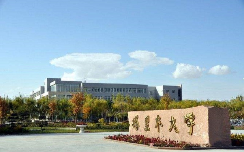 塔里木大学校园实景