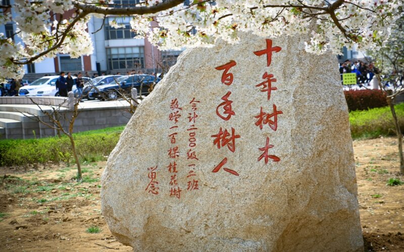 青岛农业大学校园实景