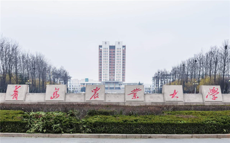 2026年青岛农业大学在浙江录取分数线及位次相关院校校园环境