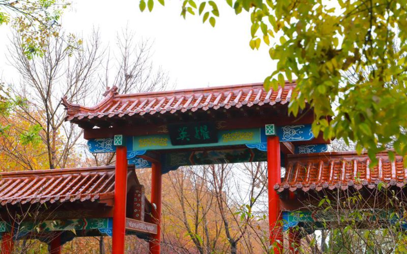 德州学院校园实景