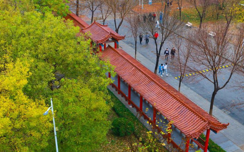 德州学院校园实景