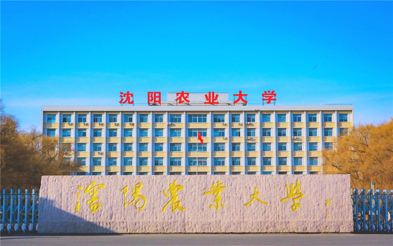 沈阳农业大学校园环境