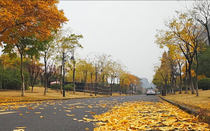 浙江商业职业技术学院校园实景