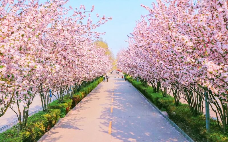 燕京理工学院校园实景