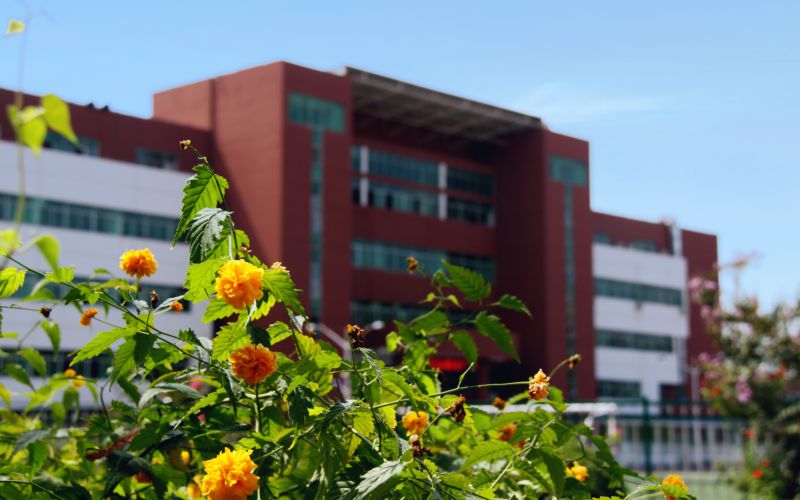 石家庄经济职业学院校园实景