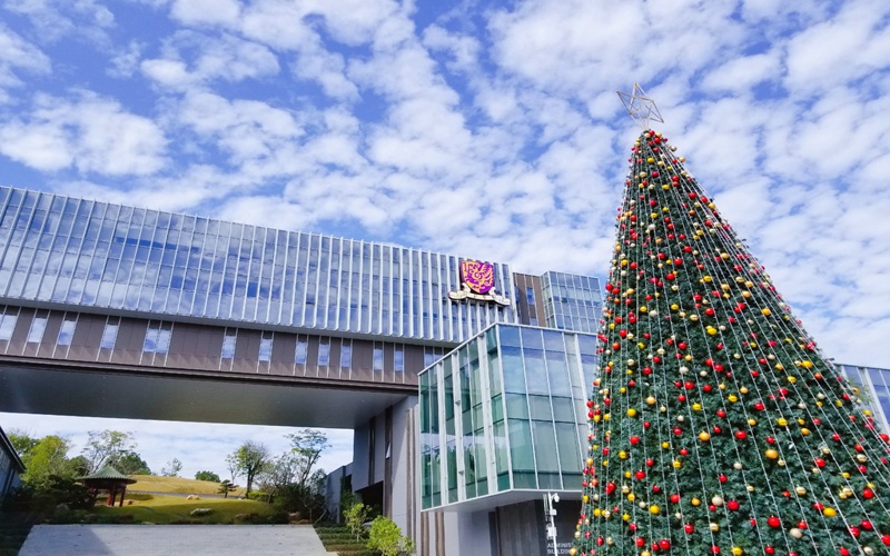 香港中文大学（深圳）校园实景