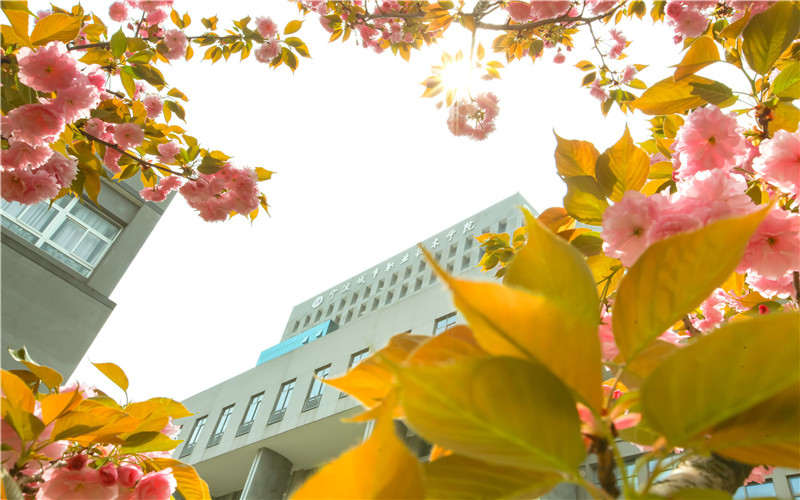 宁波城市职业技术学院校园实景