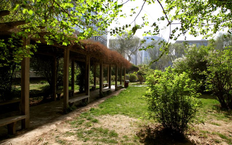 青海卫生职业技术学院校园实景