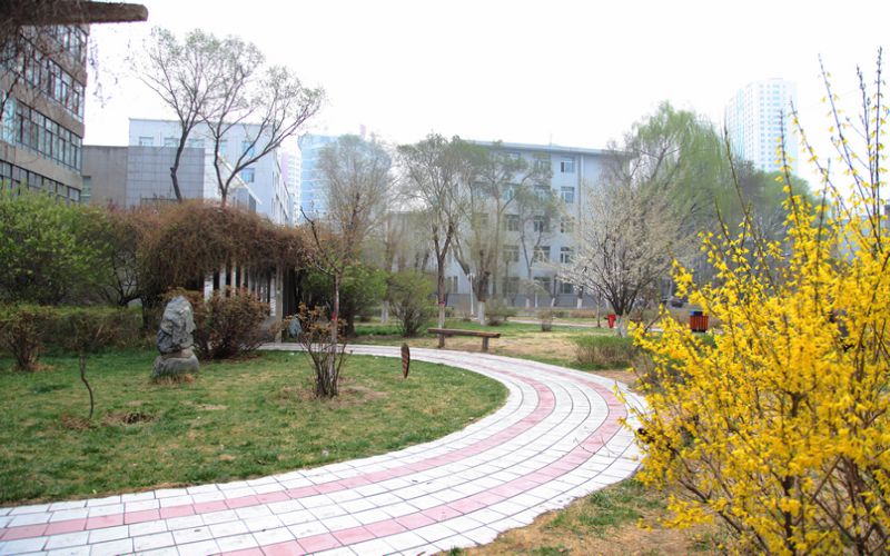 青海卫生职业技术学院校园实景