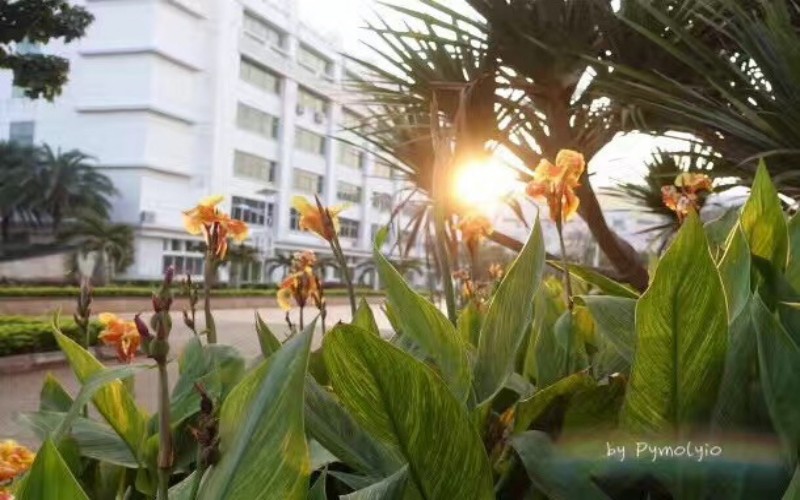 海南职业技术学院校园实景