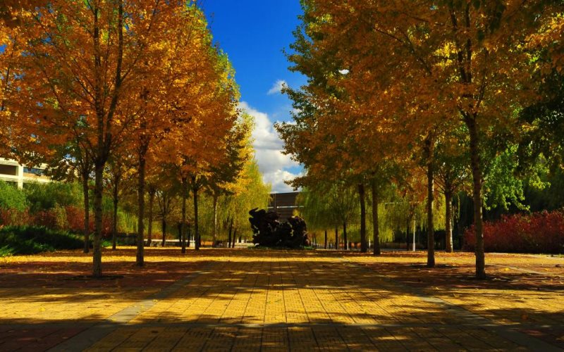 沈阳建筑大学校园实景