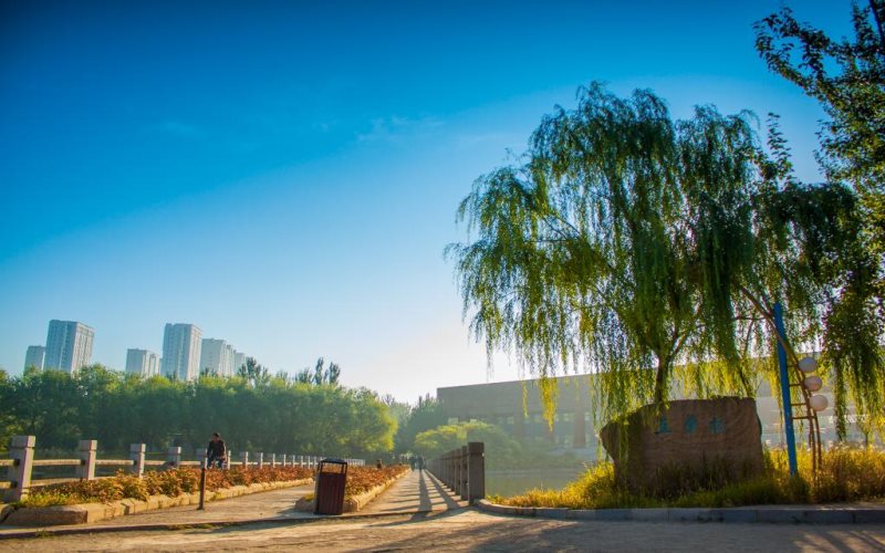 沈阳建筑大学校园实景