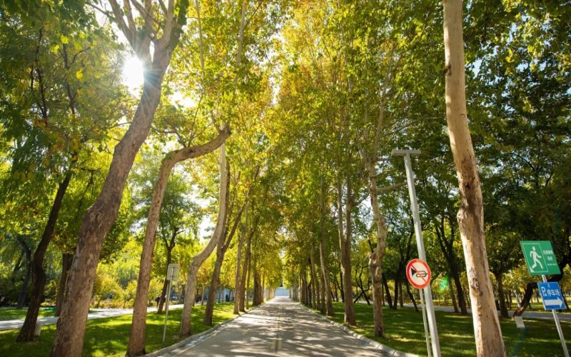 山东圣翰财贸职业学院校园实景