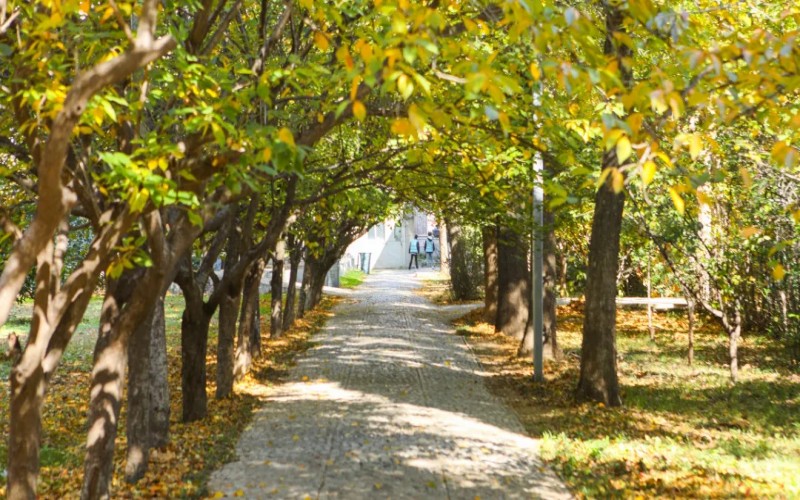 山东圣翰财贸职业学院校园实景