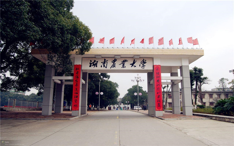 湖南农业大学校园环境