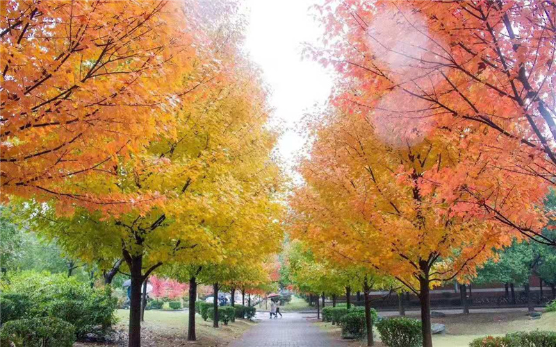 湖南农业大学校园实景