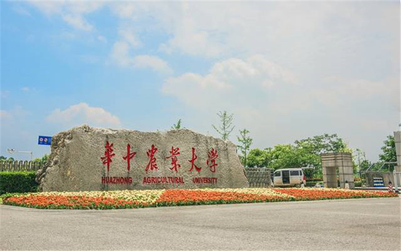 湖北开设信息与计算科学的大学相关院校校园环境