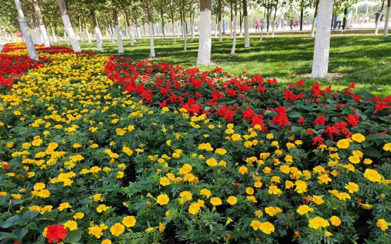 天津职业技术师范大学校园实景