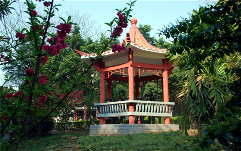 广西警察学院校园实景
