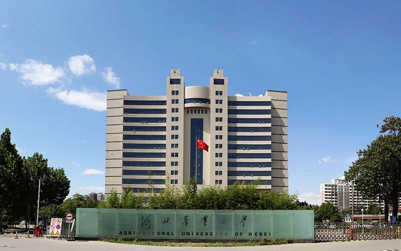 河北农业大学校园环境