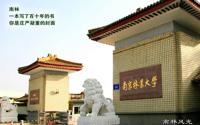南京林业大学校园环境