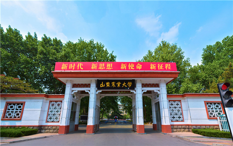 山东农业大学校园环境