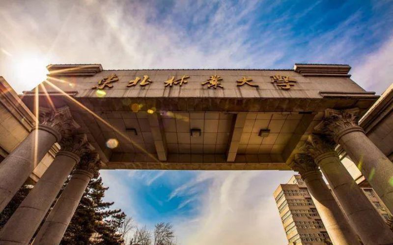 东北林业大学校园环境