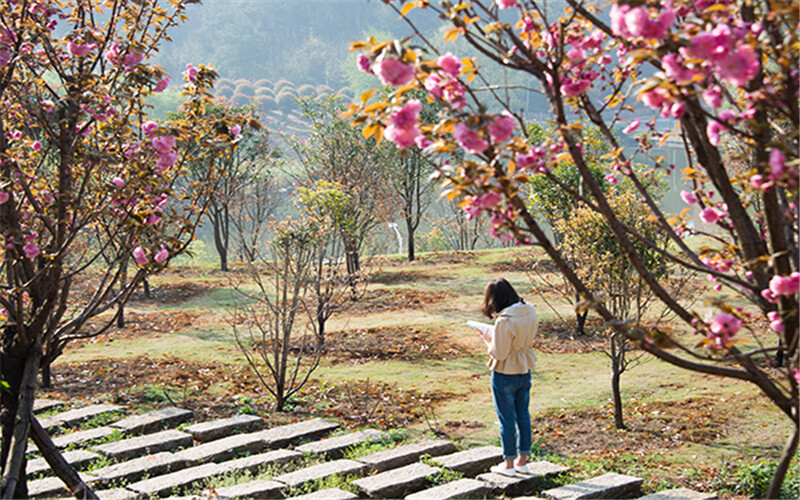 信阳学院校园实景