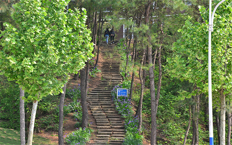 信阳学院校园实景