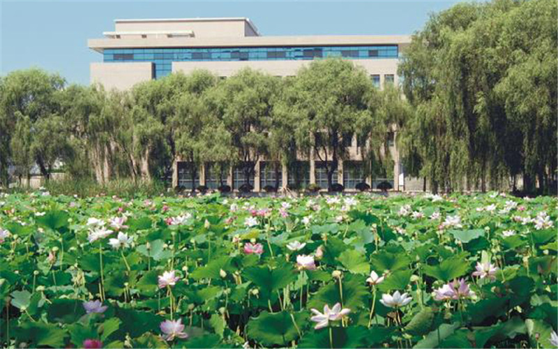 智慧林业专业分数线相关院校校园环境