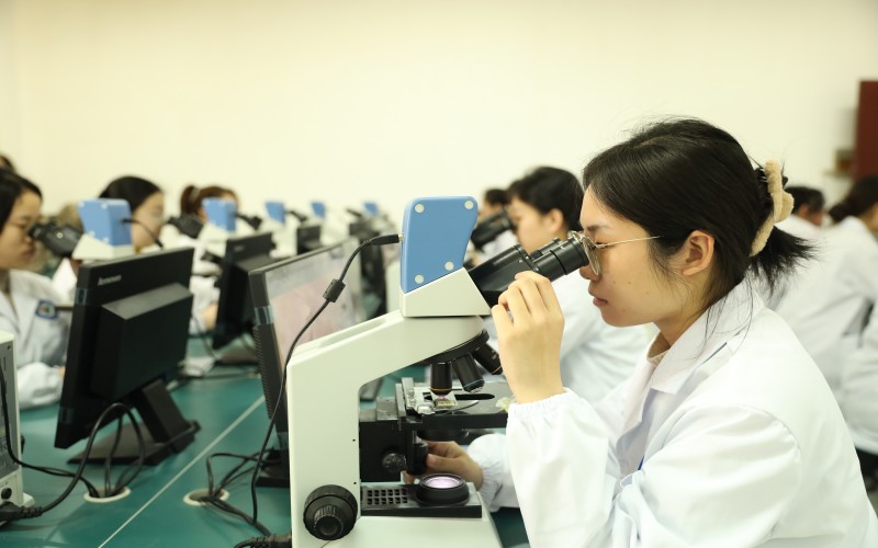 抚州医药学院在河南的招生计划相关院校校园环境