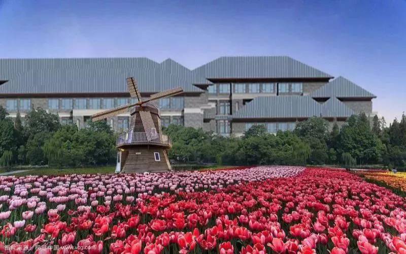 江苏旅游职业学院校园实景