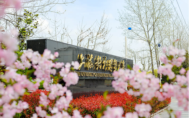 上海对外经贸大学在西藏的招生计划相关院校校园环境